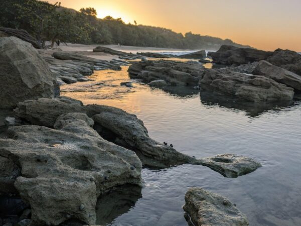 Rochers et vasques à marée basse sur une plage bordée de forêt, au coucher du soleil, plage de Clugny en Guadeloupe