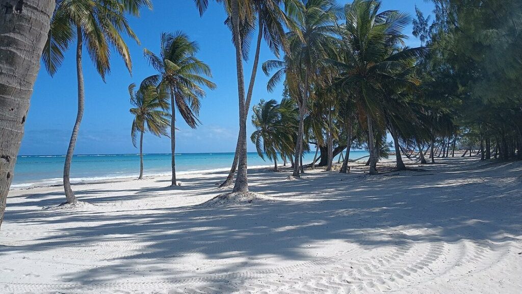 Plage de sable blanc ombragée par des cocotiers inclinés, avec une mer turquoise au fond sous un ciel bleu