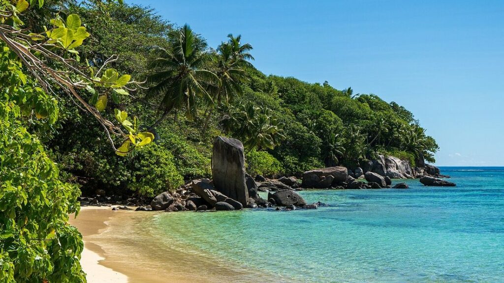 Petite plage de sable clair entre la forêt et des blocs de granit, avec une eau turquoise sur la droite