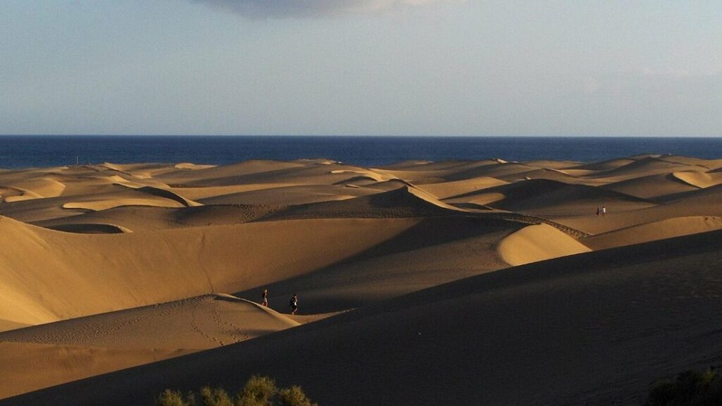 Dunes de sable doré en lumière rasante avec l'océan à l'horizon