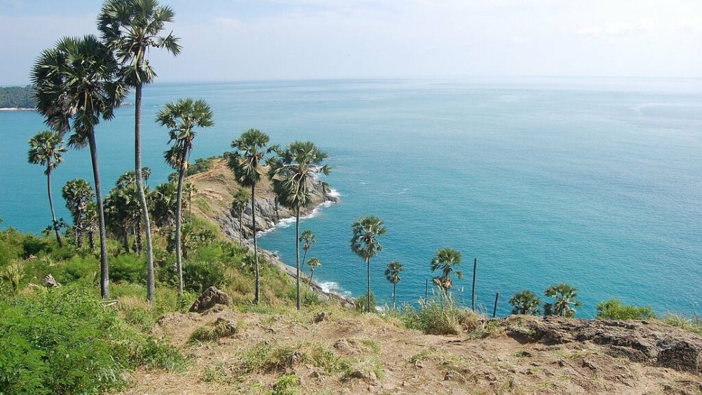 Promontoire rocheux planté de palmiers hauts s'avançant dans une mer turquoise