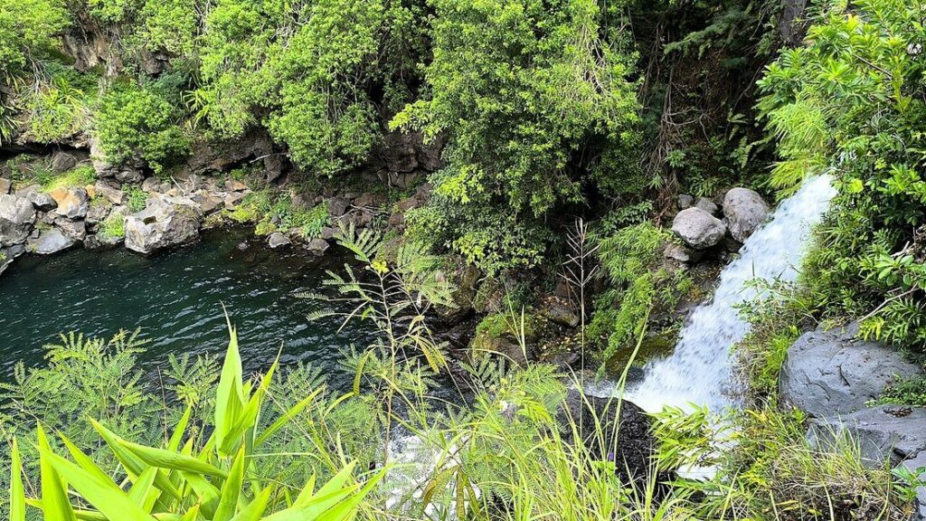 Bassin sombre et petite chute d'eau entourés de rochers et de végétation tropicale dense