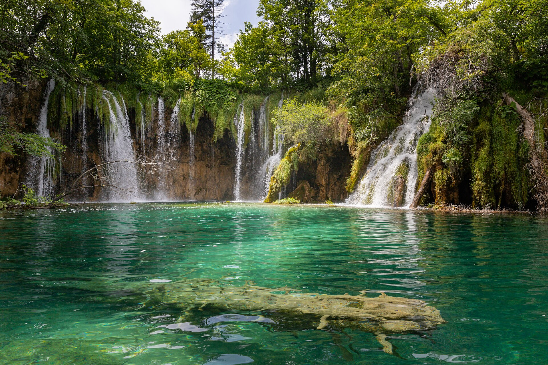 Cascades tombant dans un lac turquoise bordé d'arbres, avec un tronc immergé au premier plan