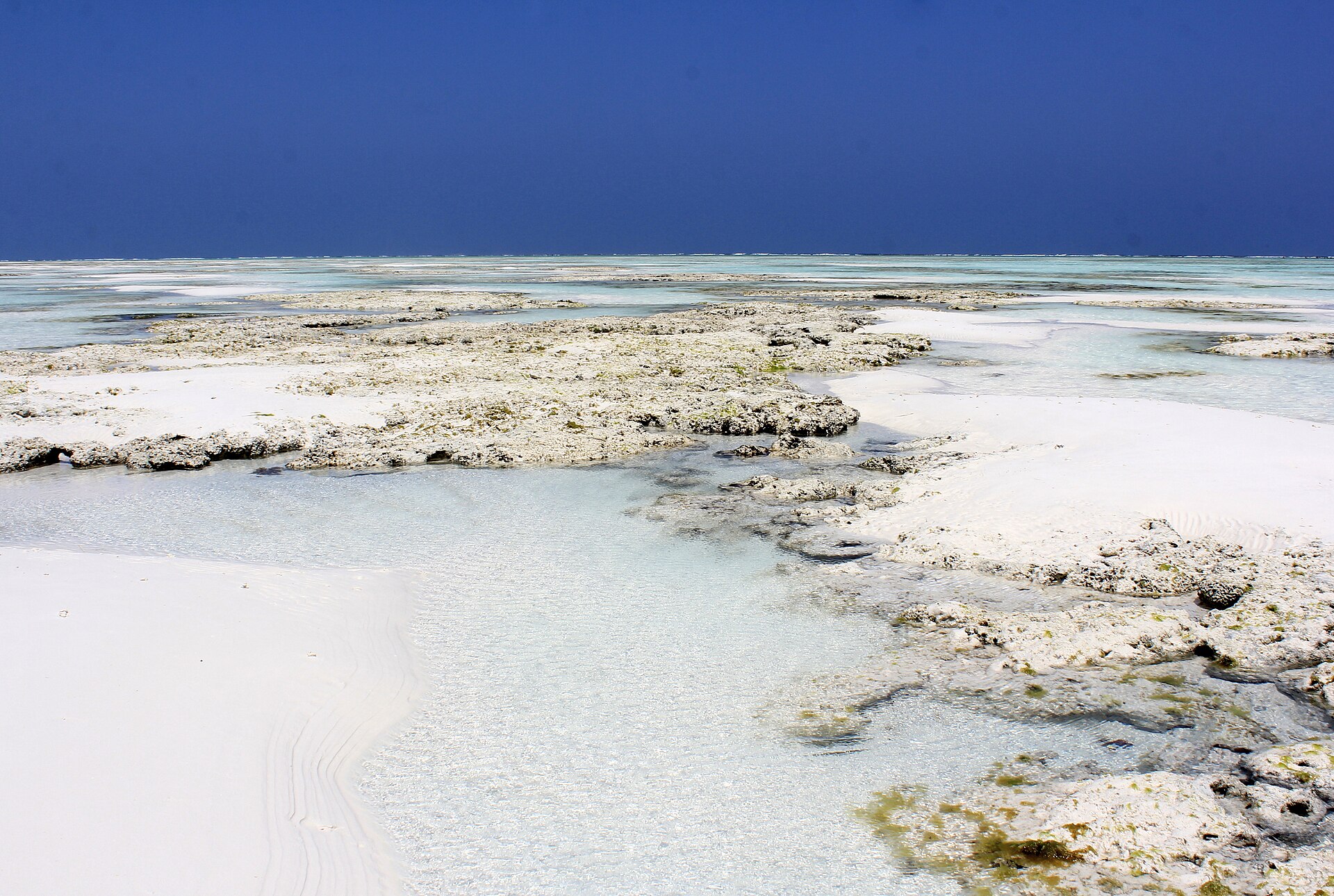 Paysage caractéristique